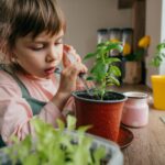 Dekoracje do kuchni na parapet